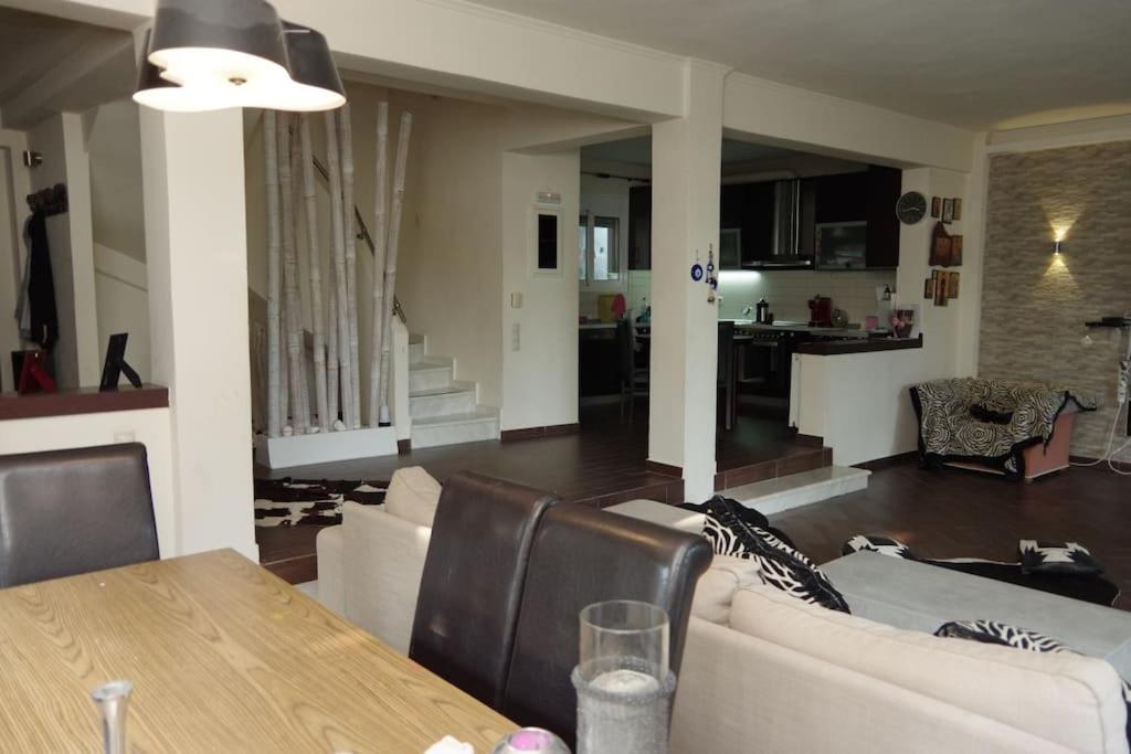 Villa Vasili Trikala  Ngoại thất bức ảnh