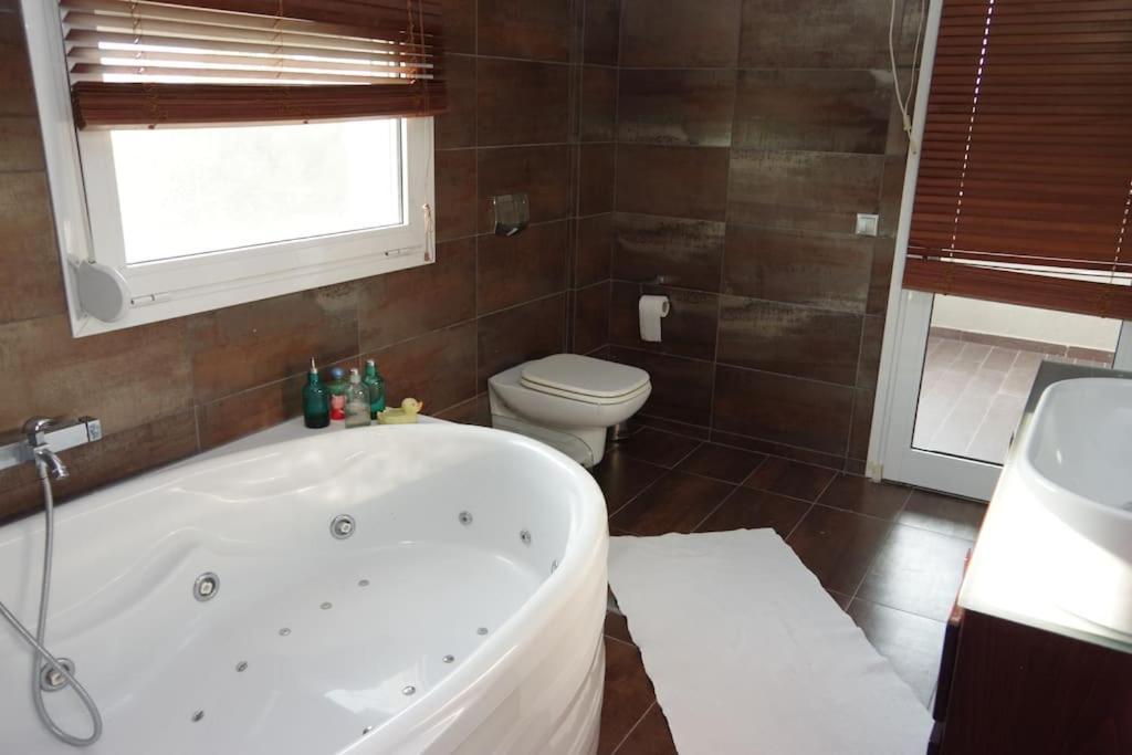 Villa Vasili Trikala  Ngoại thất bức ảnh