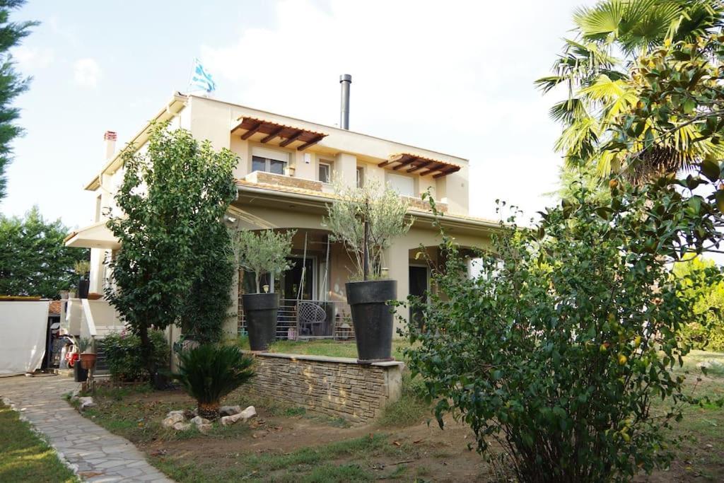 Villa Vasili Trikala  Ngoại thất bức ảnh