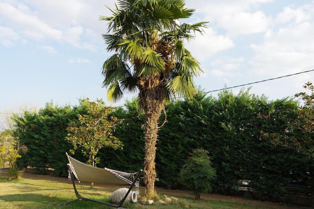 Villa Vasili Trikala  Ngoại thất bức ảnh