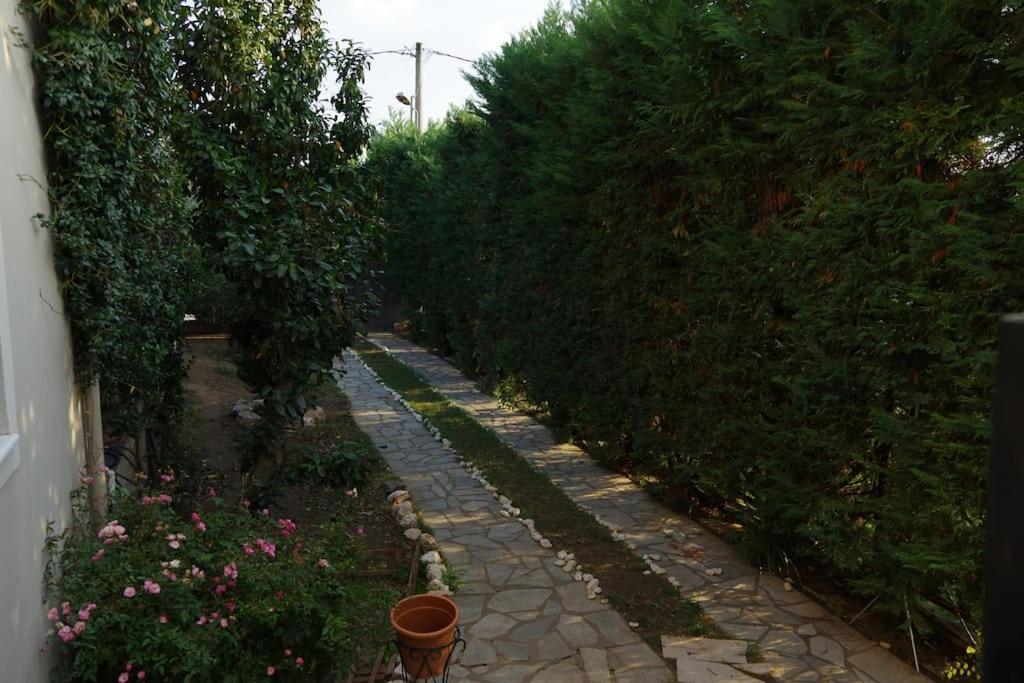 Villa Vasili Trikala  Ngoại thất bức ảnh
